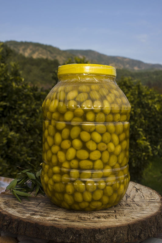 5 lik ZEYTİN - Balcegiz