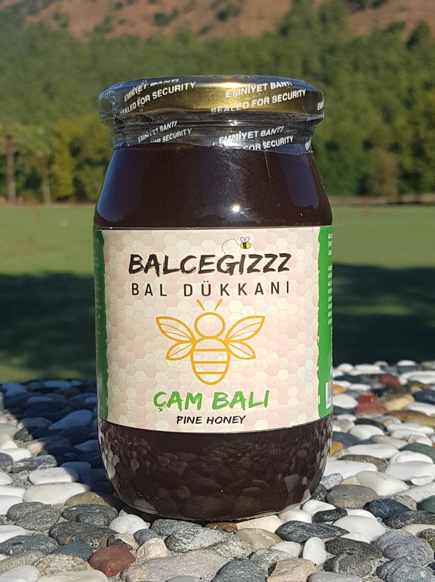 Balceğiz Doğal Çam Balı 450 Gram - Balcegiz