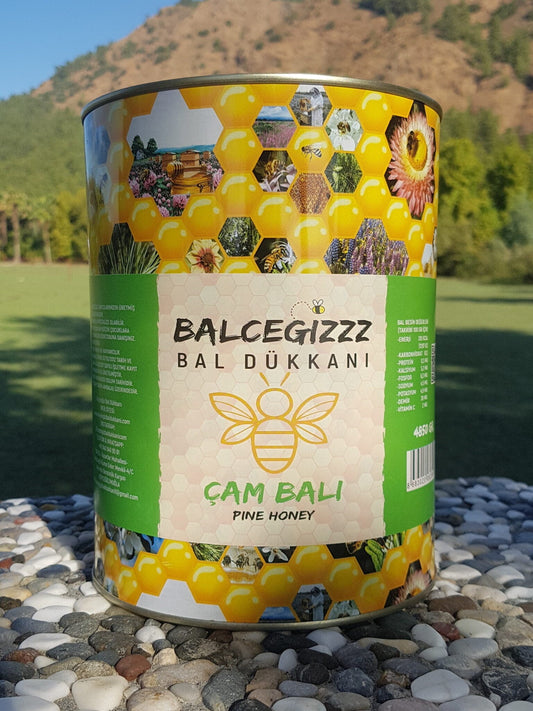 Balceğiz Doğal Çam Balı 4850 Gram - Balcegiz